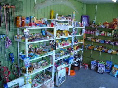 Sklep Zoologiczny "LENIWIEC"